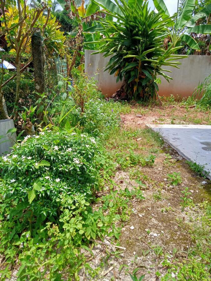 Idaman Di Dengan 2 Bilik Aircond - Harga Utk 1 Rumah